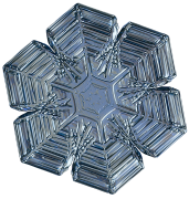 snowflake 12 lis